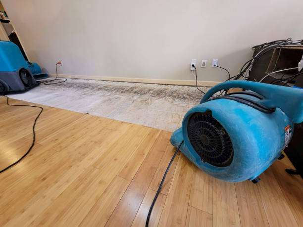 Professional Structural Drying technician working in Lyons, CO